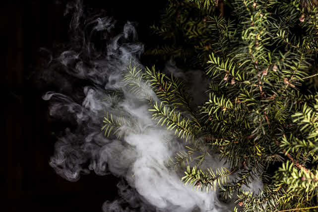 Vaping Terpenes - Can You? Is it Safe? And other questions answered... True Blue Vaping Terpenes - Can You? Is it Safe? And other questions answered... True Blue