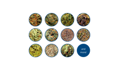 Terpene Strain Profiles