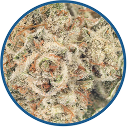 True Blue: Buy Natural Terpenes For Cannabis
