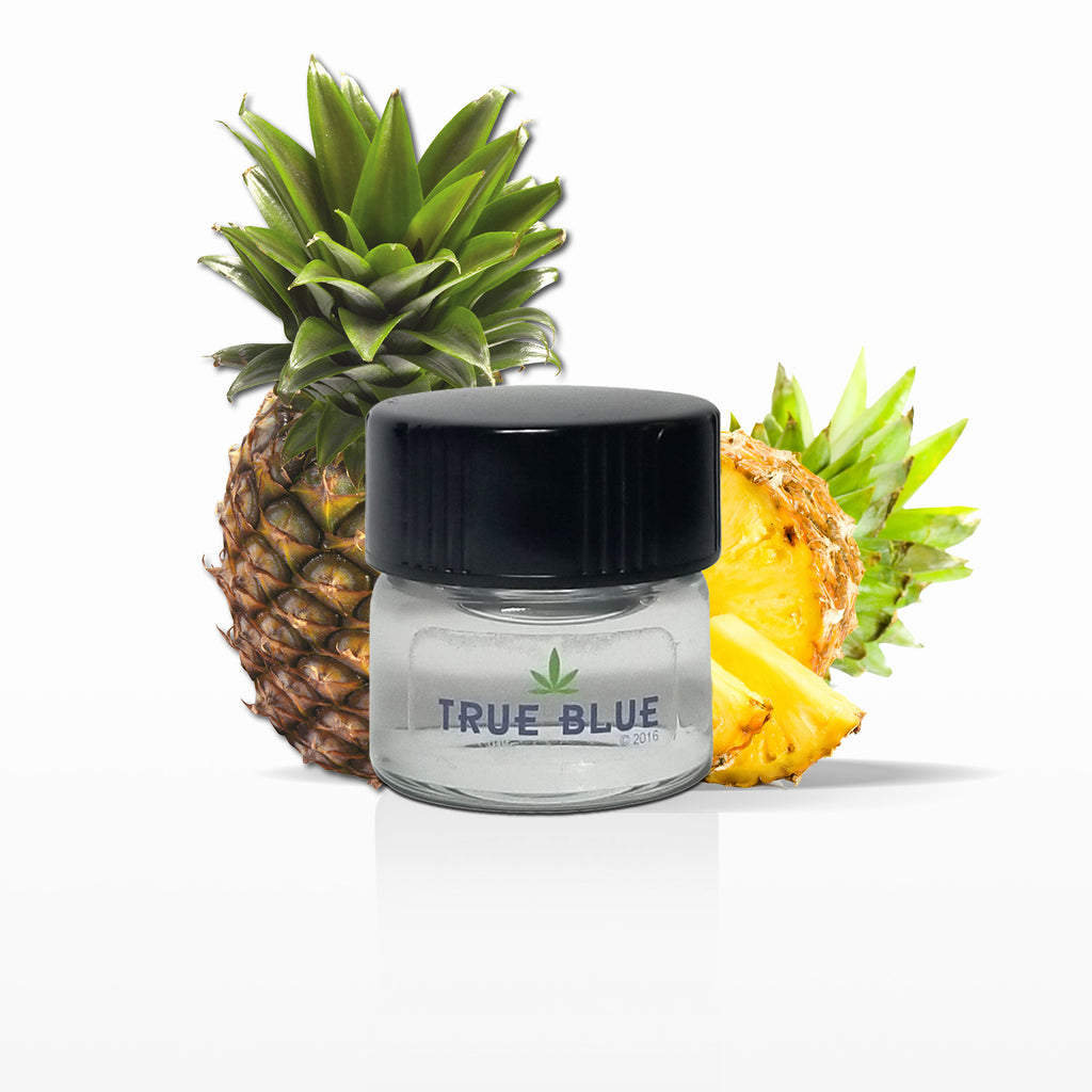 maple butter vape juice The Pancake House Golden Maple 100ml 100ml ⋆ $12.75 maple butter vape juice The Pancake House Golden Maple 100ml 100ml ⋆ $12.75
